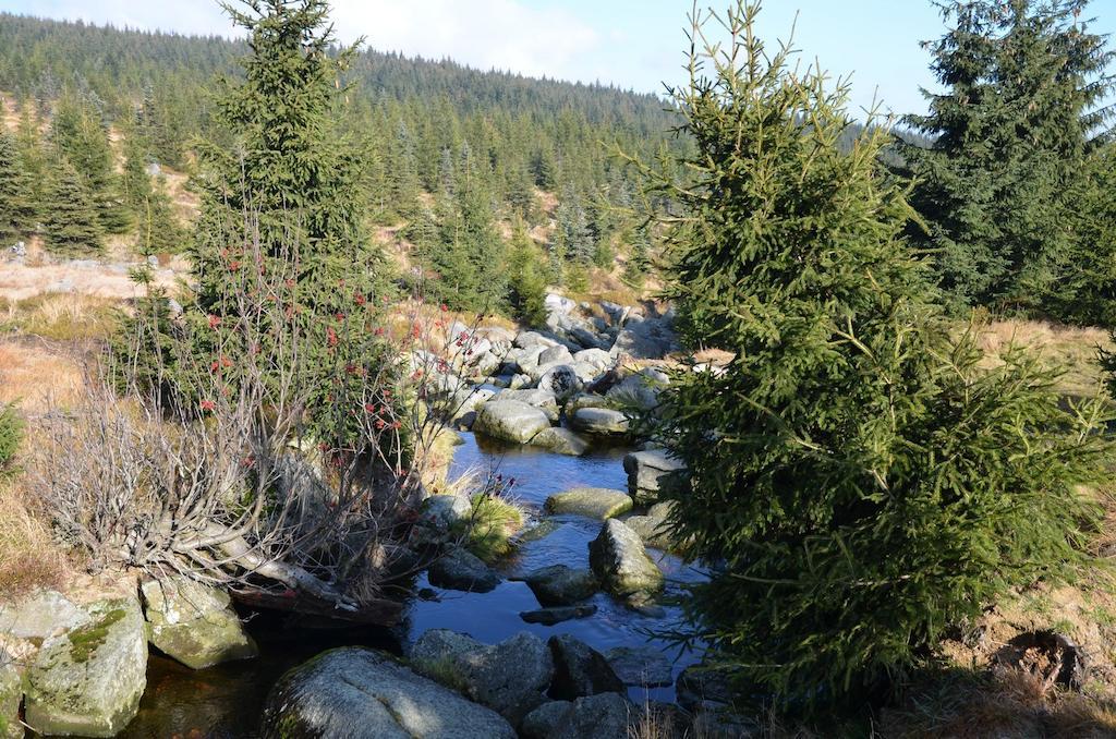 Penzion Vital Liberec Pokoj fotografie